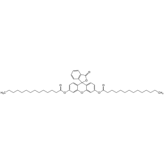 Fluorescein dimyristate