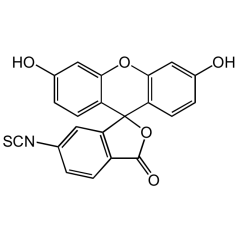 6-FITC