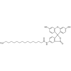 5-Hexadecanoylaminofluorescein