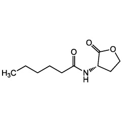N-Hexanoyl-L-homoserine lactone