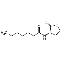 N-Heptanoyl-L-homoserine lactone