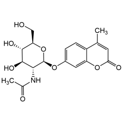 4-Methylumbelliferyl N-acetyl-&beta;-D-glucosaminide