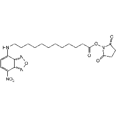 NBD dodecanoic acid N-succinimidyl ester