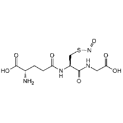S-Nitrosoglutathione