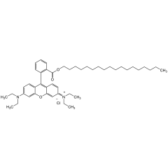 Octadecyl Rhodamine B chloride 