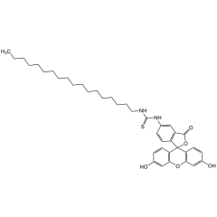 N'-Octadecylfluorescein-5-thiourea