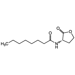N-Octanoyl-L-homoserine lactone