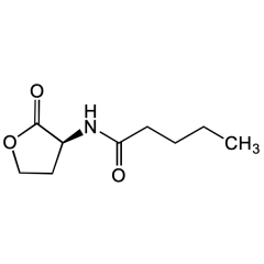 N-Pentanoyl-L-homoserine lactone