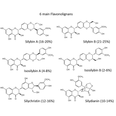 Silymarin