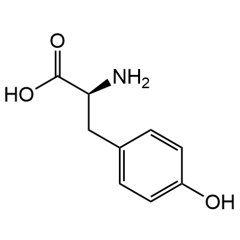 L-Tyrosine