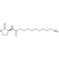 N-Undecanoyl-L-homoserine lactone
