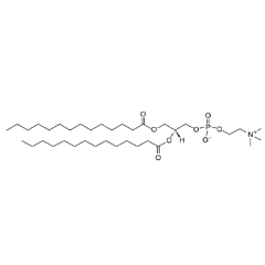 DMPC (1,2-Dimyristoyl-sn-glycero-3-phosphocholine) (14:0 PC)