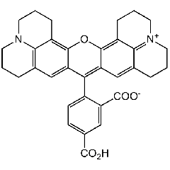 5-ROX