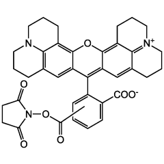 5(6)-ROX N-succinimidyl ester