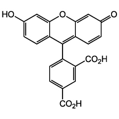 5-FAM