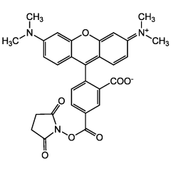 5-TAMRA N-succinimidyl ester