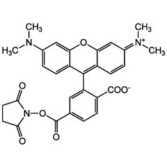 6-TAMRA N-succinimidyl ester