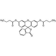 Fluorescein dibutyrate