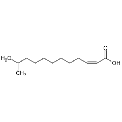 cis-11-Methyl-2-dodecenoic acid