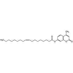 4-Methylumbelliferyl oleate