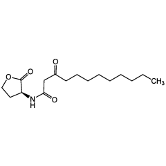 N-(3-Oxododecanoyl)-L-homoserine lactone
