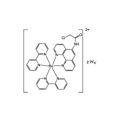 [Ru(bpy)2(5-chloroacetamido-1,10-phenanthroline)](PF6)2