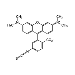 6-TRITC