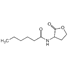 N-Hexanoyl-DL-homoserine lactone