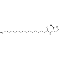 N-Hexadecanoyl-DL-homoserine lactone