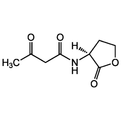 N-(3-Oxobutanoyl)-L-homoserine lactone