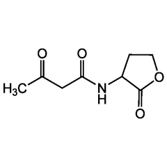 N-(3-Oxobutanoyl)-DL-homoserine lactone