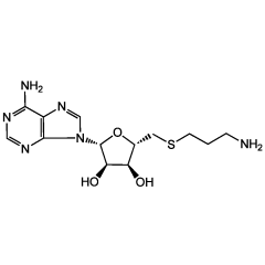 S-(5')-Adenosyl-3-thiopropylamine