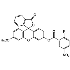 DSP-1