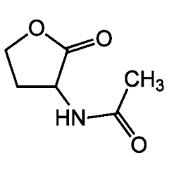 N-Ethanoyl-DL-homoserine lactone