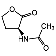 N-Ethanoyl-L-homoserine lactone