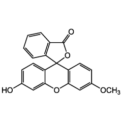 3'-O-Methylfluorescein
