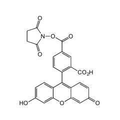 5-FAM N-succinimidyl ester