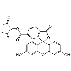 6-FAM N-succinimidyl ester