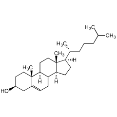7-Dehydrocholesterol