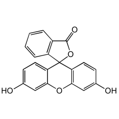 Fluorescein (free acid)