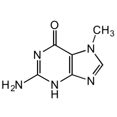 7-Methylguanine