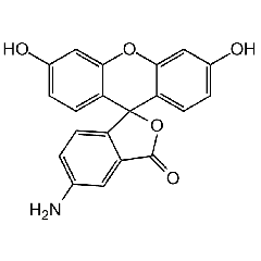 5-Aminofluorescein