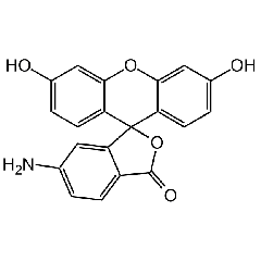 6-Aminofluorescein