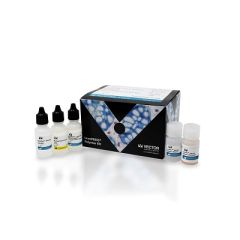 ImmPRESS Universal PLUS Polymer Kit, Peroxidase (Horse Anti-Mouse/Rabbit IgG)