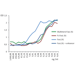 Oligomerisation of FasL (h) efficiently triggers Jurkat cell death.<br /><b>Method:</b> Jurkat cells were treated O/N with the indicated concentrations of FasL (human) (multimeric) (rec.) (Prod. No. AG-40B-0130), Fc:FasL, Soluble (human) (rec.) (Prod. No.