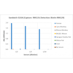 Sandwich ELISA, using RevMAb human IgG2 matched antibody pair, shows species reactivity to human only, and shows no cross-reactivity to monkey (Cyno or Rhesus), mouse IgG, rat IgG, or goat IgG.
