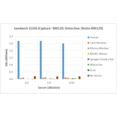 Sandwich ELISA, using RevMAb human IgG3 matched antibody pair, shows species reactivity to human only, and shows no cross-reactivity to monkey (Cyno or Rhesus), mouse IgG, rat IgG, or goat IgG.