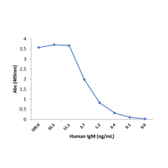 Sandwich ELISA using RM121 as the capture antibody (100ng/well), and Biotinylated anti-human light chains (k+l) antibody RM129 (0.2ug/mL) as the detection antibody, followed by an alkaline phosphatase conjugated streptavidin.