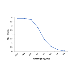 Sandwich ELISA using RM122 as the capture antibody (100ng/well), and Biotinylated anti-human light chains (k+l) antibody RM129 (0.2ug/mL) as the detection antibody, followed by an alkaline phosphatase conjugated streptavidin.