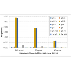 Western blot of nonreduced(-) and reduced(+) mouse IgG2b (20ng/lane), using 0.2ug/mL of RevMAb clone RM108. This antibody reacts to nonreduced IgG2b (~150 kDa) much stronger than the reduced γ2b form (~50 kDa).
